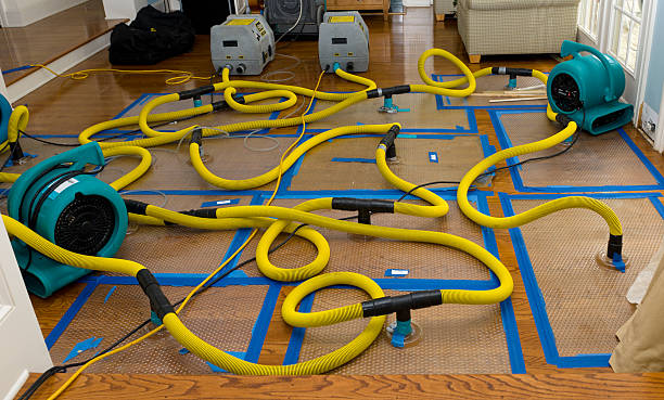Professional Structural Drying And Dehumidification technician working in Munger, MI