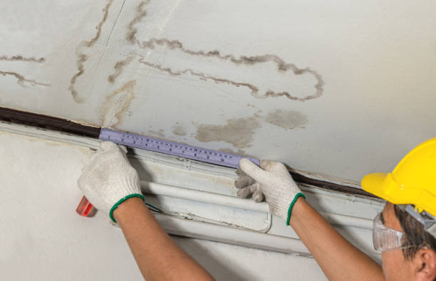 Affordable Water Damage Repair solutions in Munger, MI